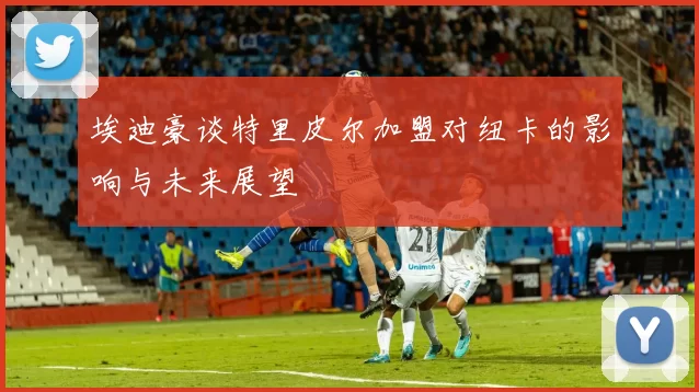 埃迪豪谈特里皮尔加盟对纽卡的影响与未来展望